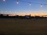 Movies on the Lawn 